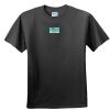 Softstyle™ Junior Fit T Shirt Thumbnail